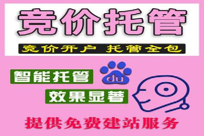 SEM代运营案例：提升转化率之道